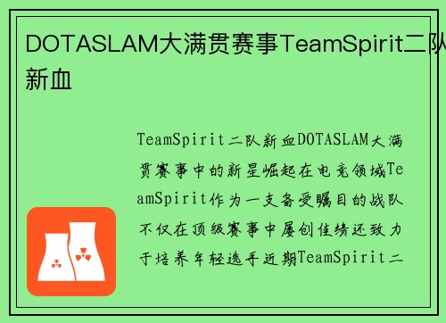 DOTASLAM大满贯赛事TeamSpirit二队新血
